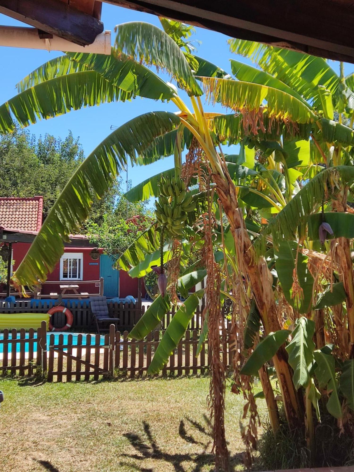 Karma House Guest House Casares Exterior foto